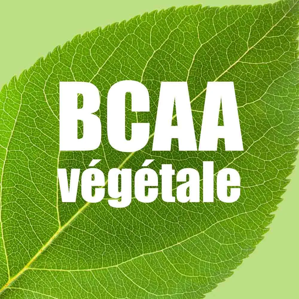 法國製長距離能量膠   BCAA Made in France Energy Gel - Energix