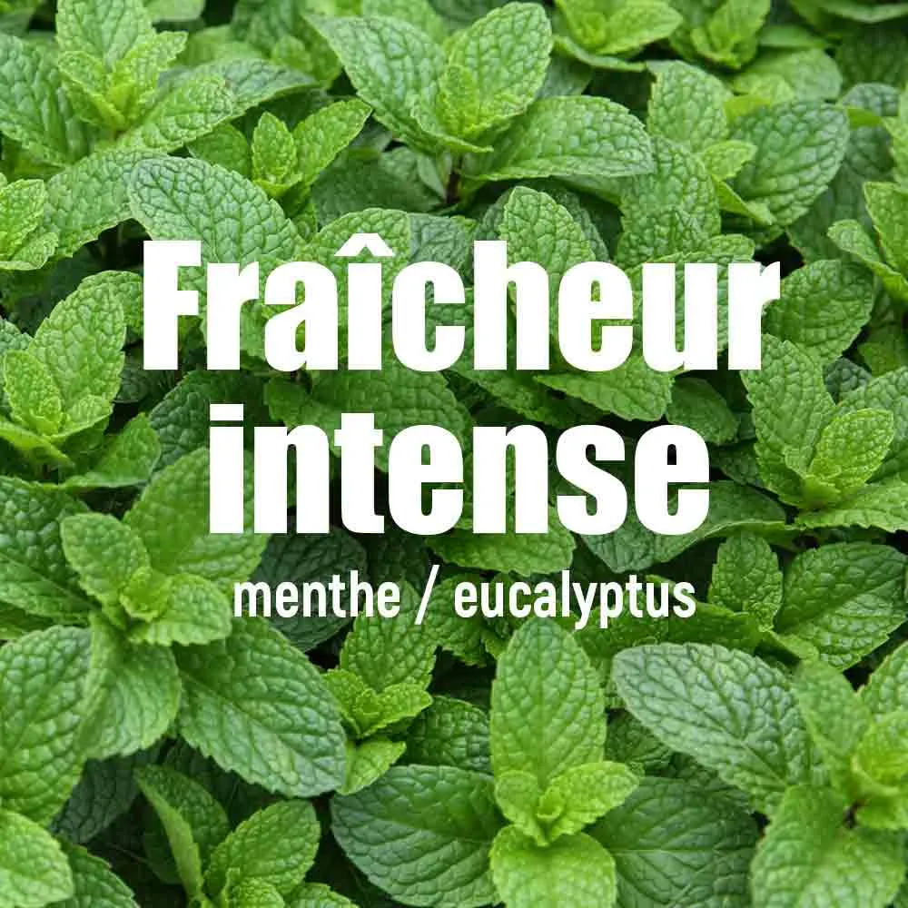 法國製高強度能量膠   咖啡因 Made in France Energy Gel - Red Tonic (Mint)