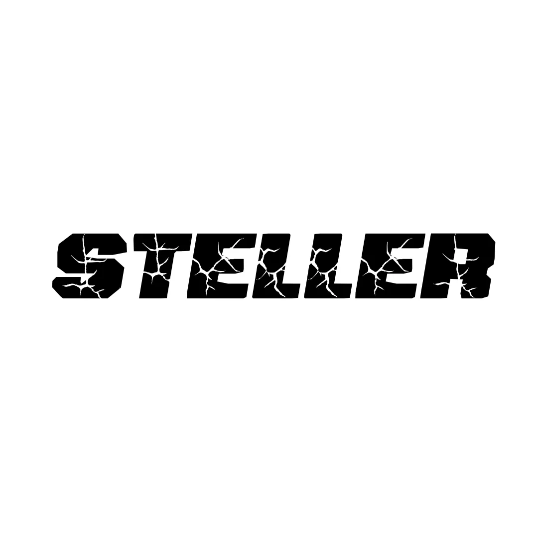 American Electric STELLER Fat Tire Step Thru Electric Bike - from DT Scooters