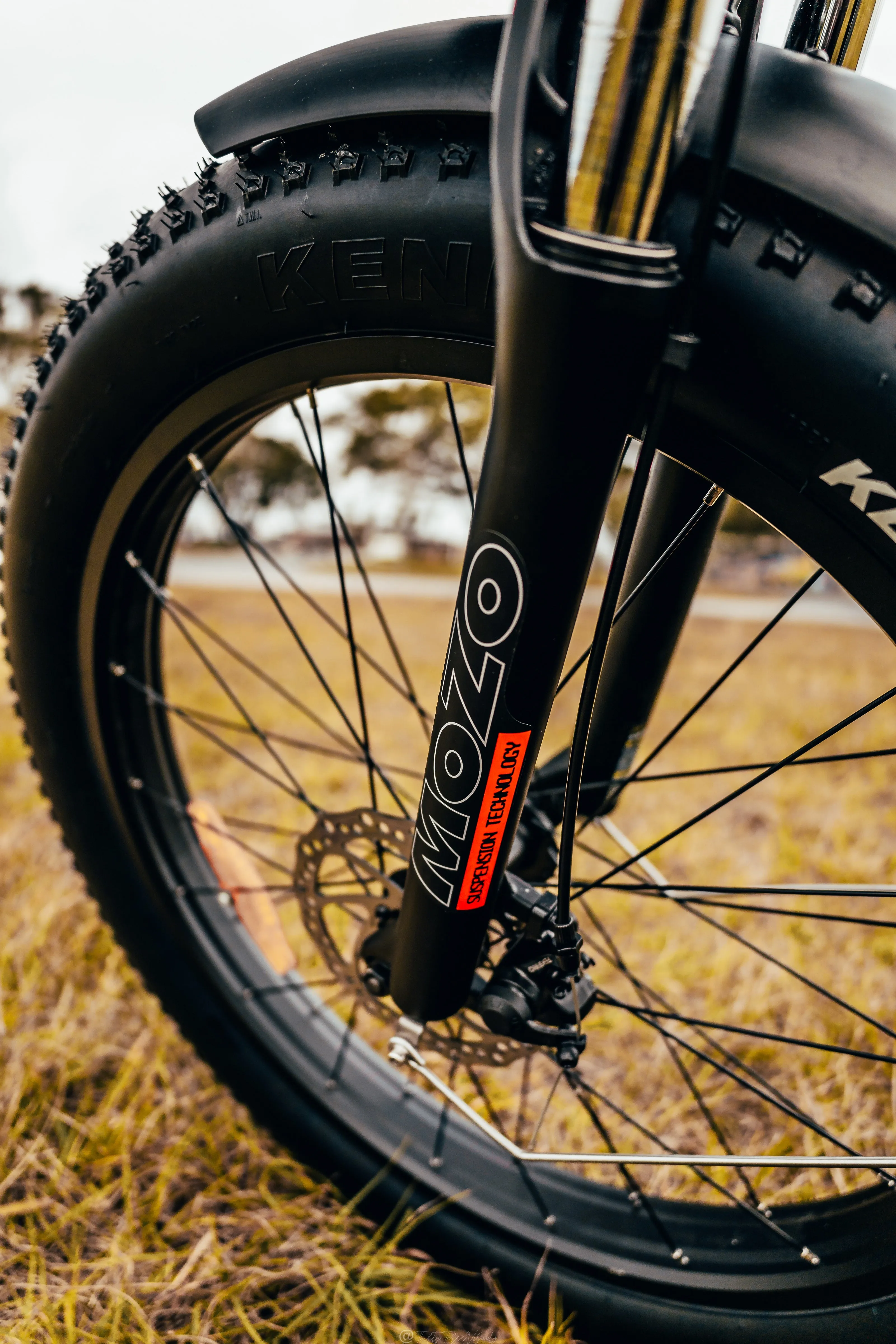 American Electric STELLER Fat Tire Step Thru Electric Bike - from DT Scooters
