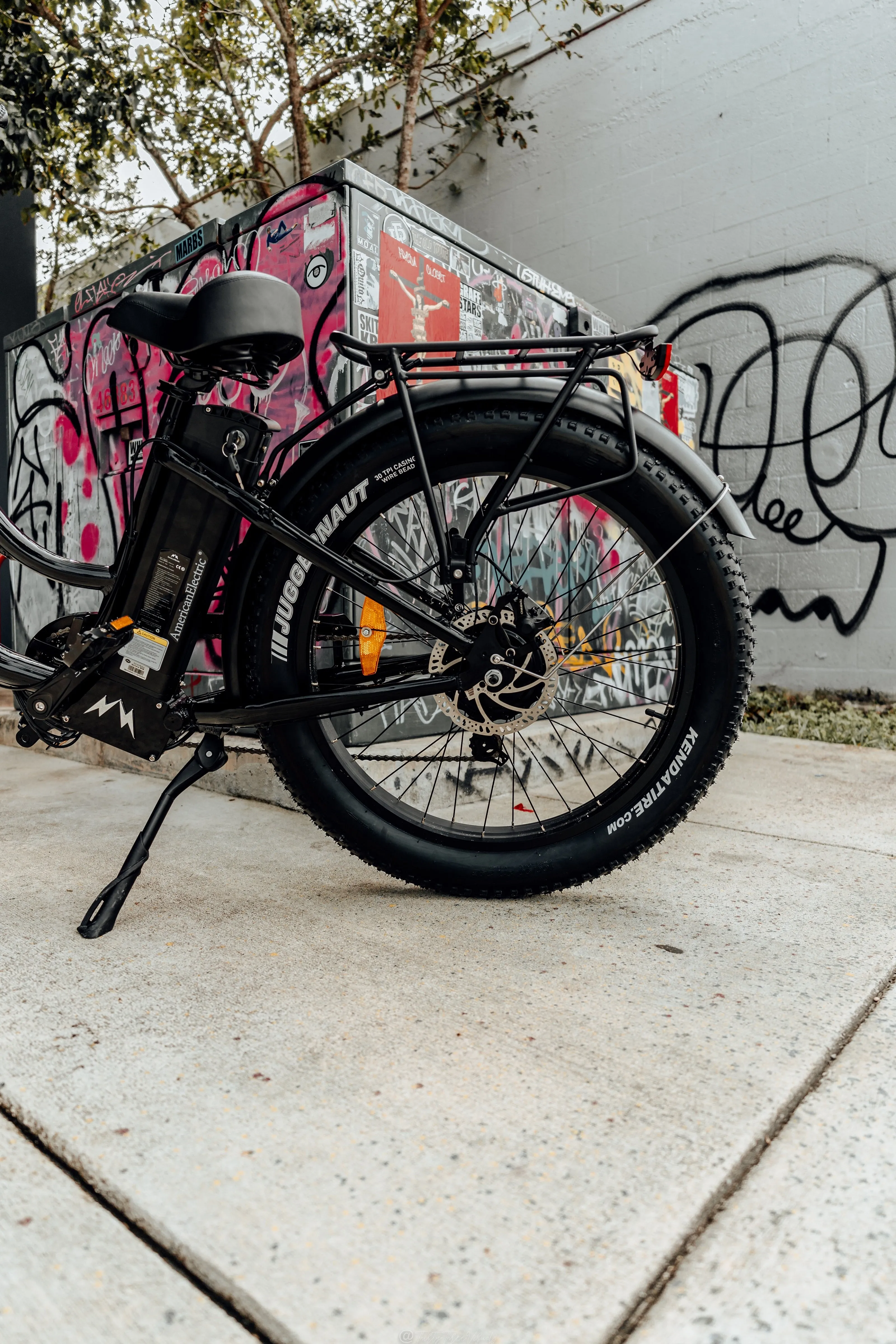 American Electric STELLER Fat Tire Step Thru Electric Bike - from DT Scooters