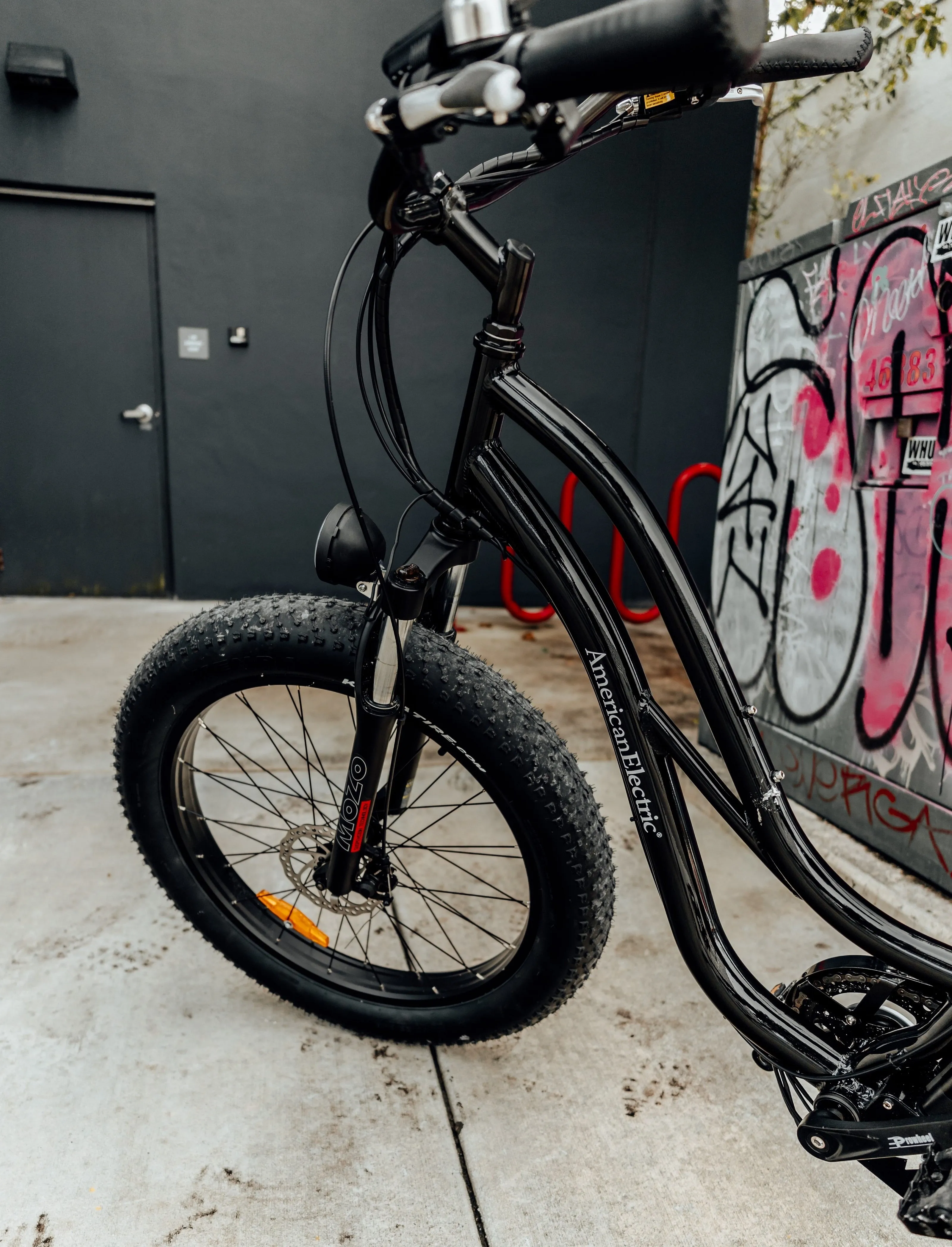 American Electric STELLER Fat Tire Step Thru Electric Bike - from DT Scooters