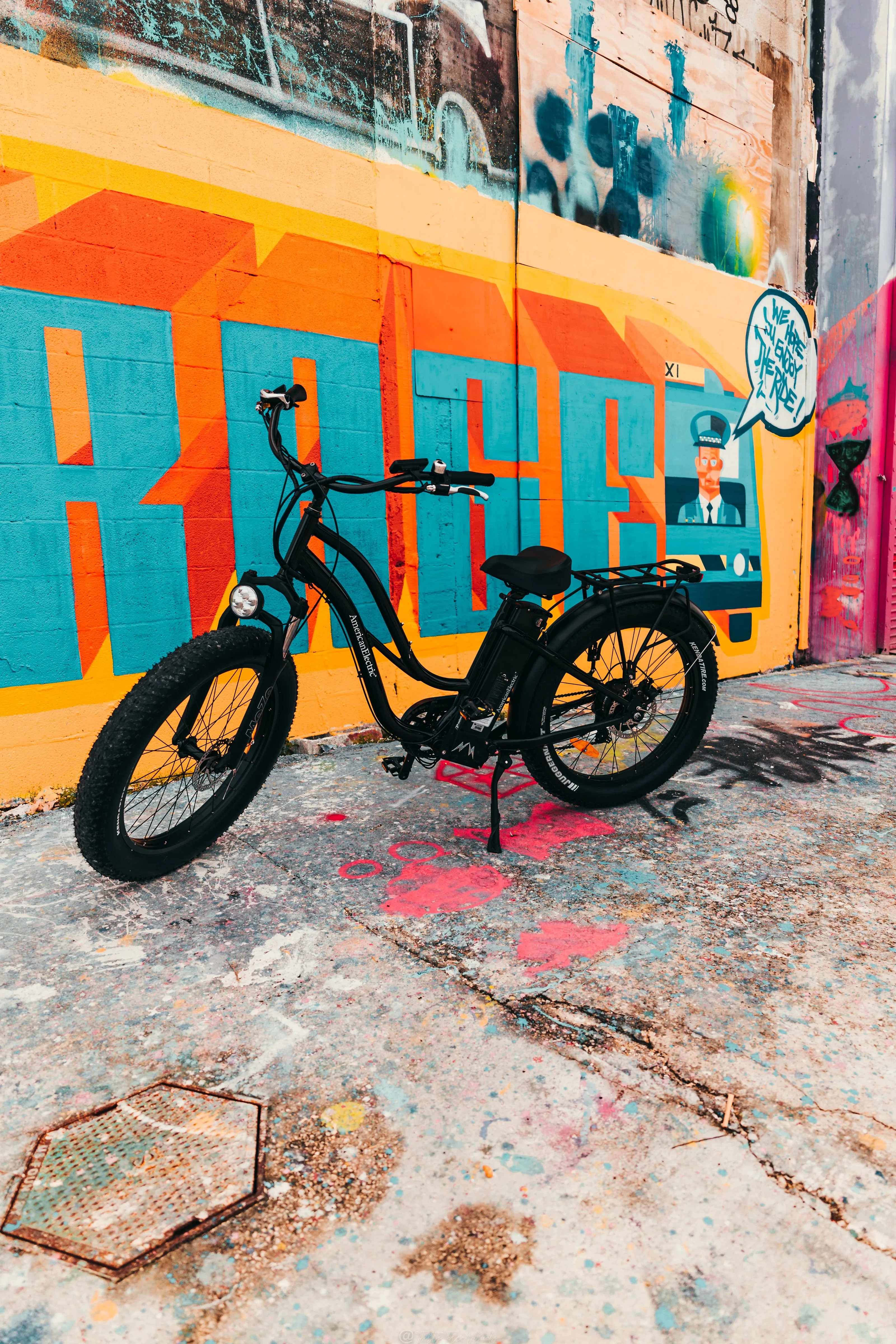 American Electric STELLER Fat Tire Step Thru Electric Bike - from DT Scooters