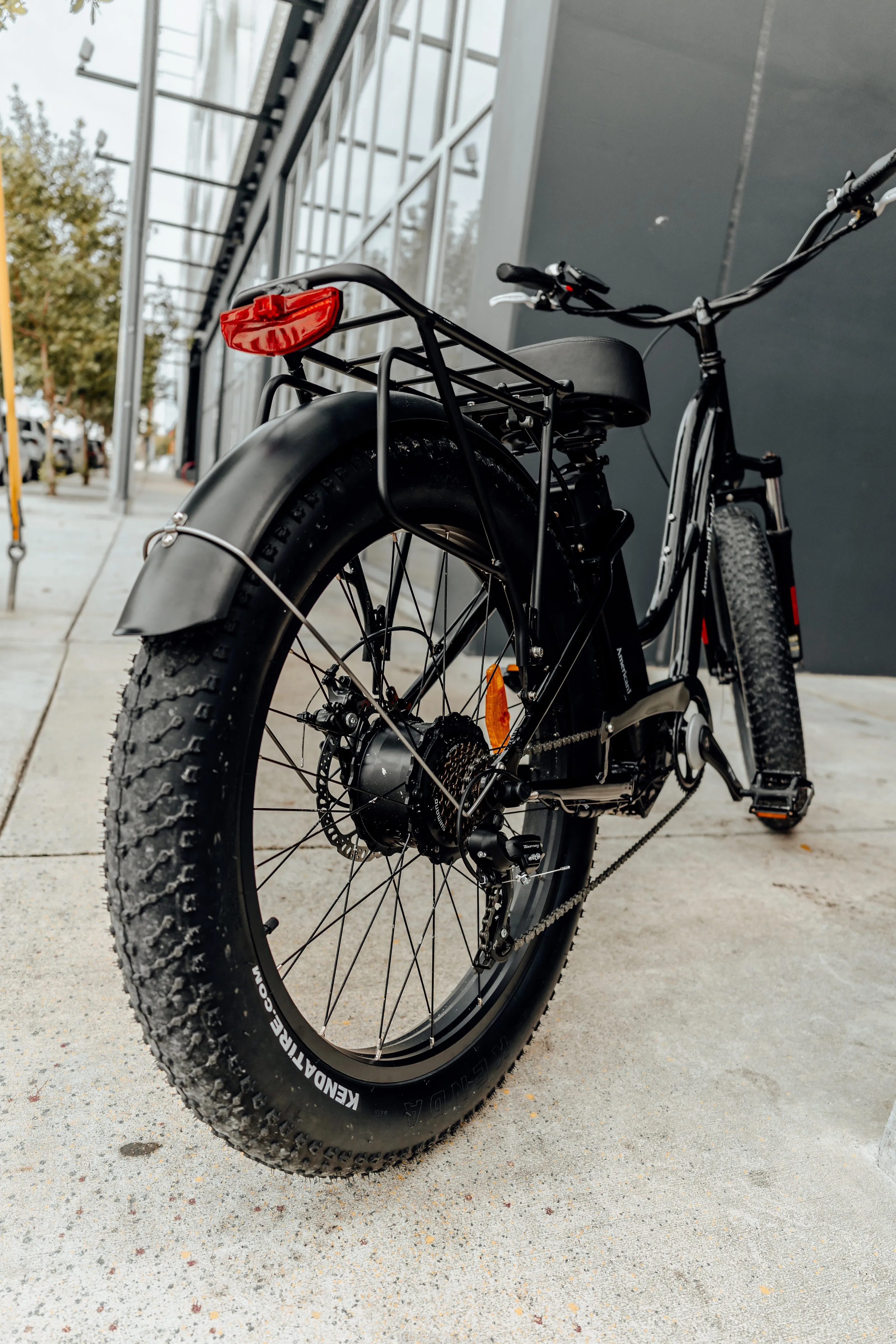 American Electric STELLER Fat Tire Step Thru Electric Bike - from DT Scooters