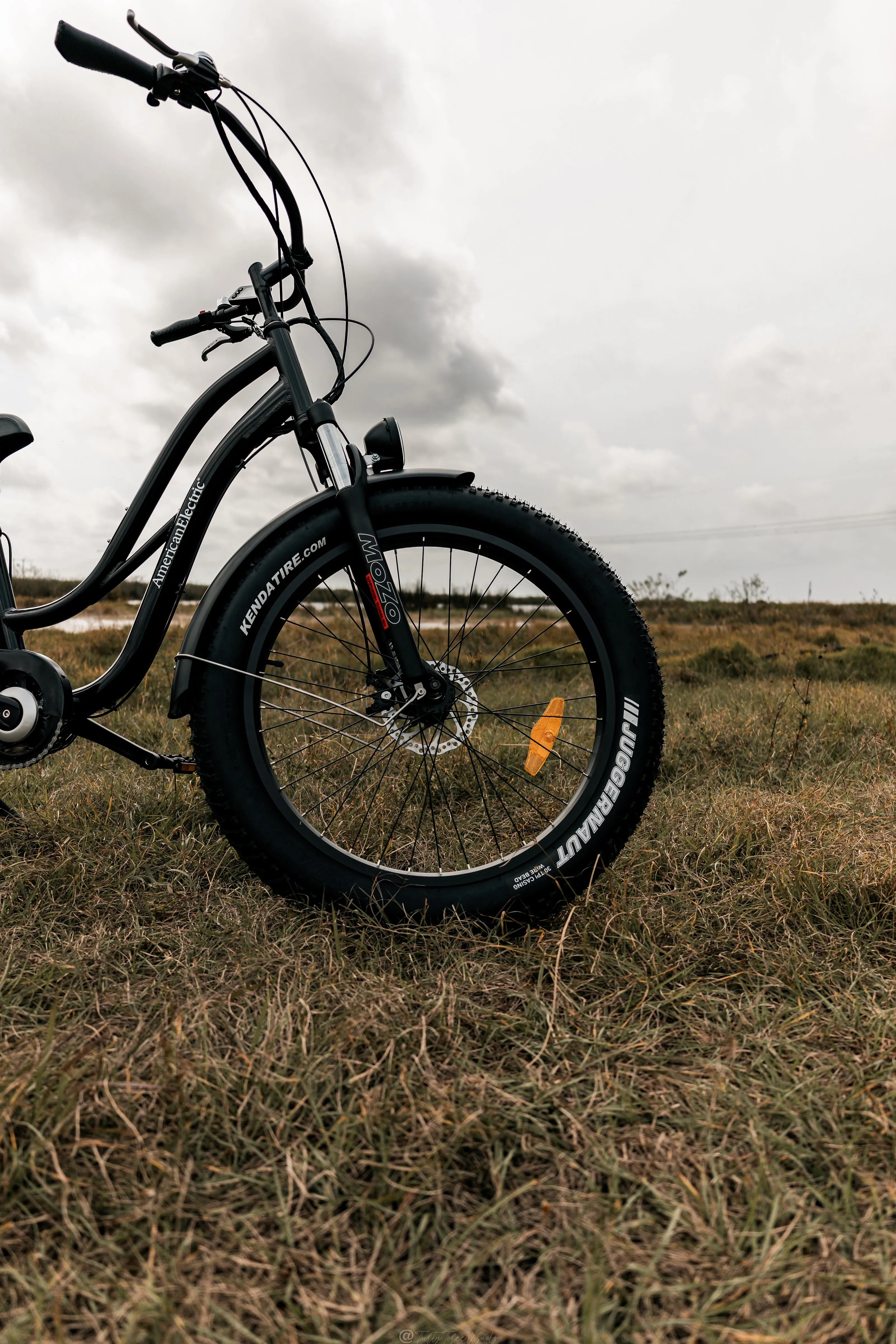 American Electric STELLER Fat Tire Step Thru Electric Bike - from DT Scooters