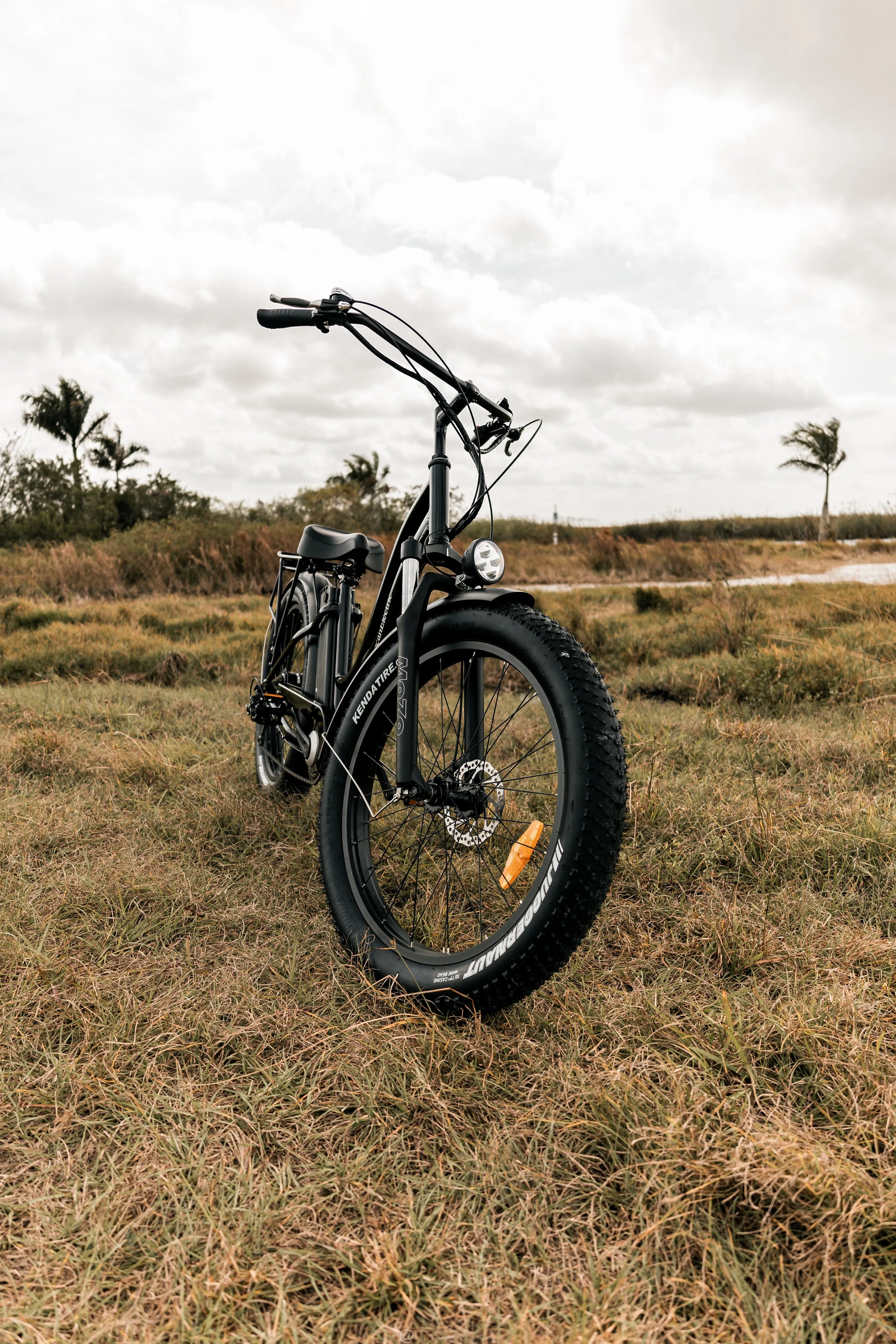 American Electric STELLER Fat Tire Step Thru Electric Bike - from DT Scooters