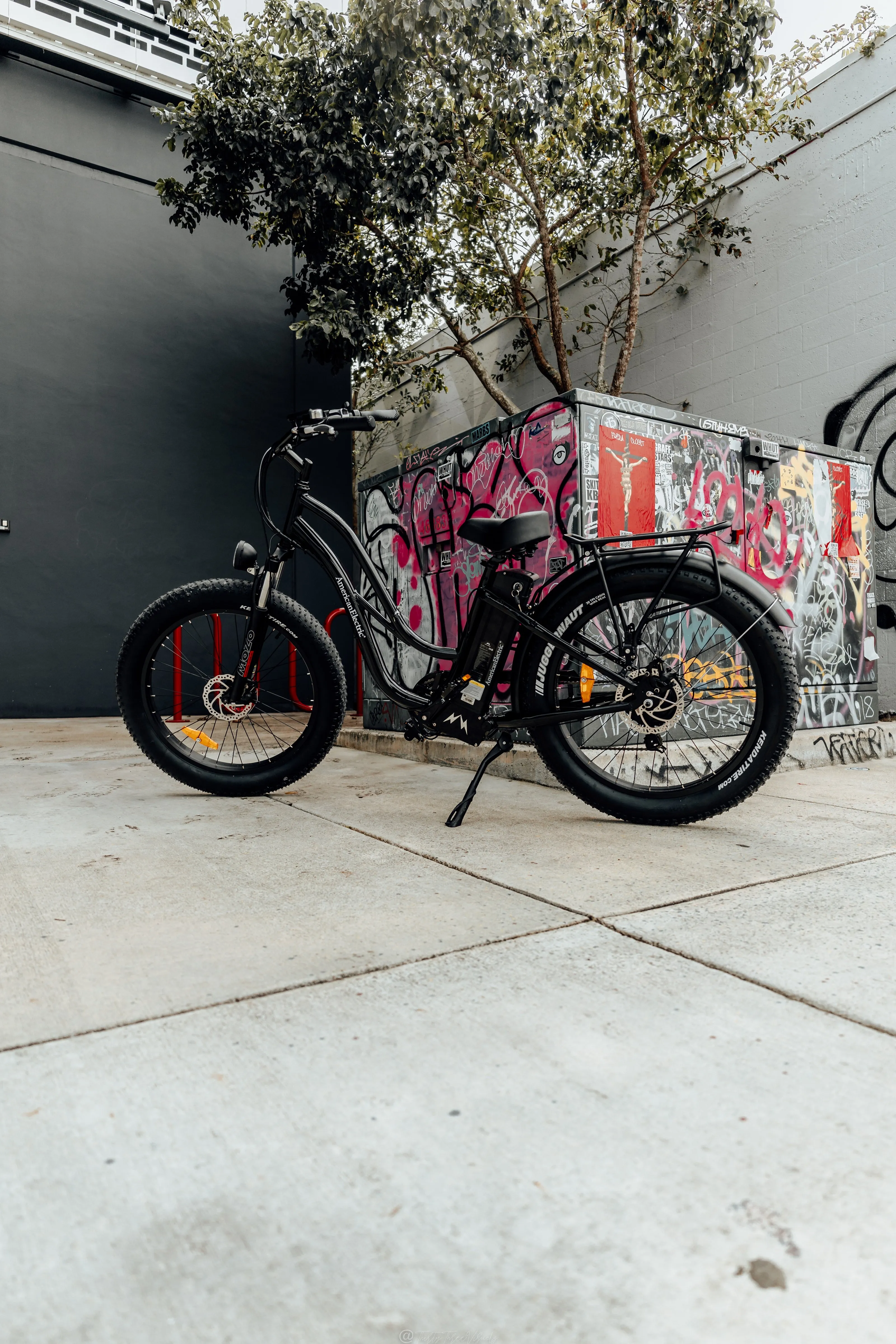 American Electric STELLER Fat Tire Step Thru Electric Bike - from DT Scooters