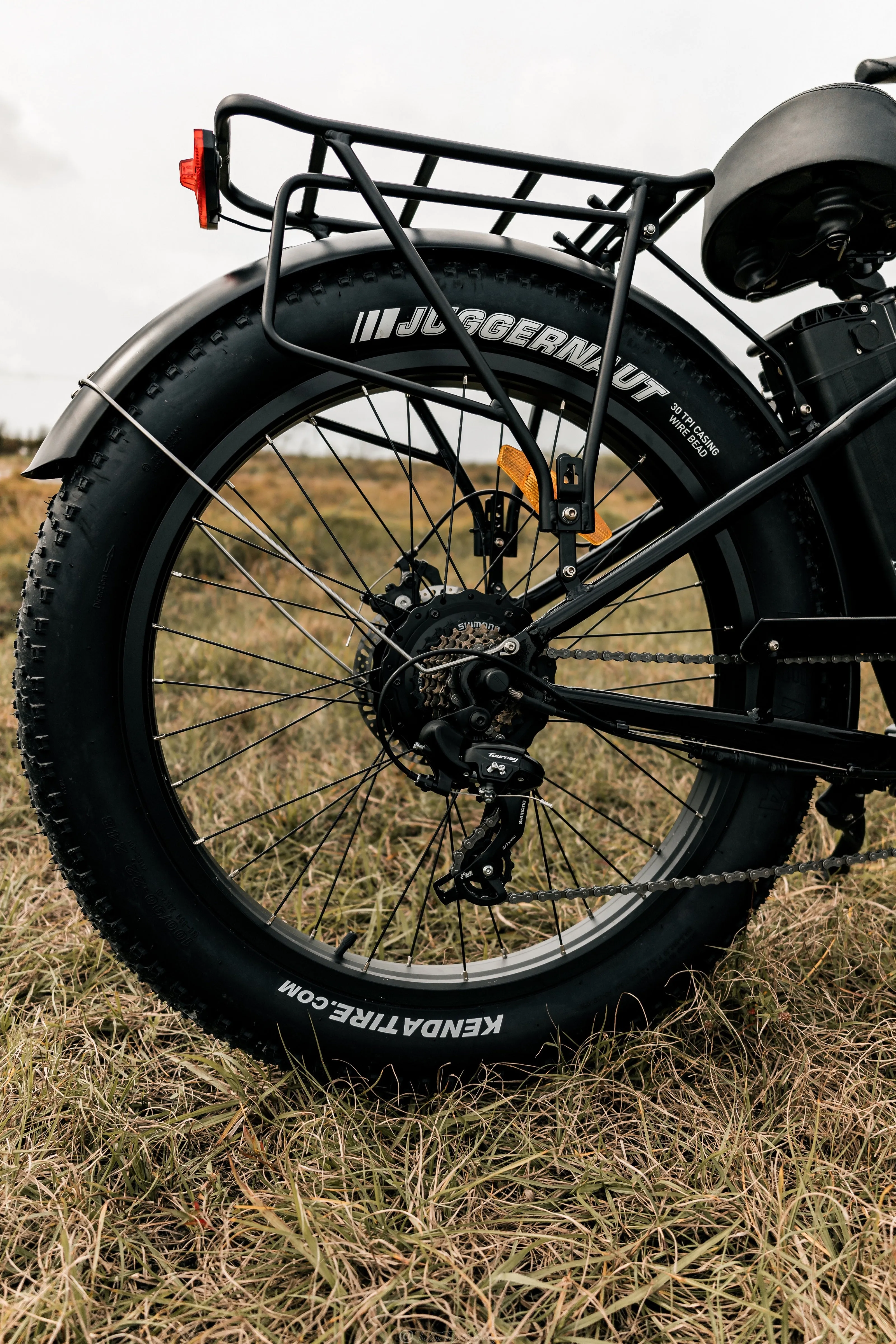 American Electric STELLER Fat Tire Step Thru Electric Bike - from DT Scooters