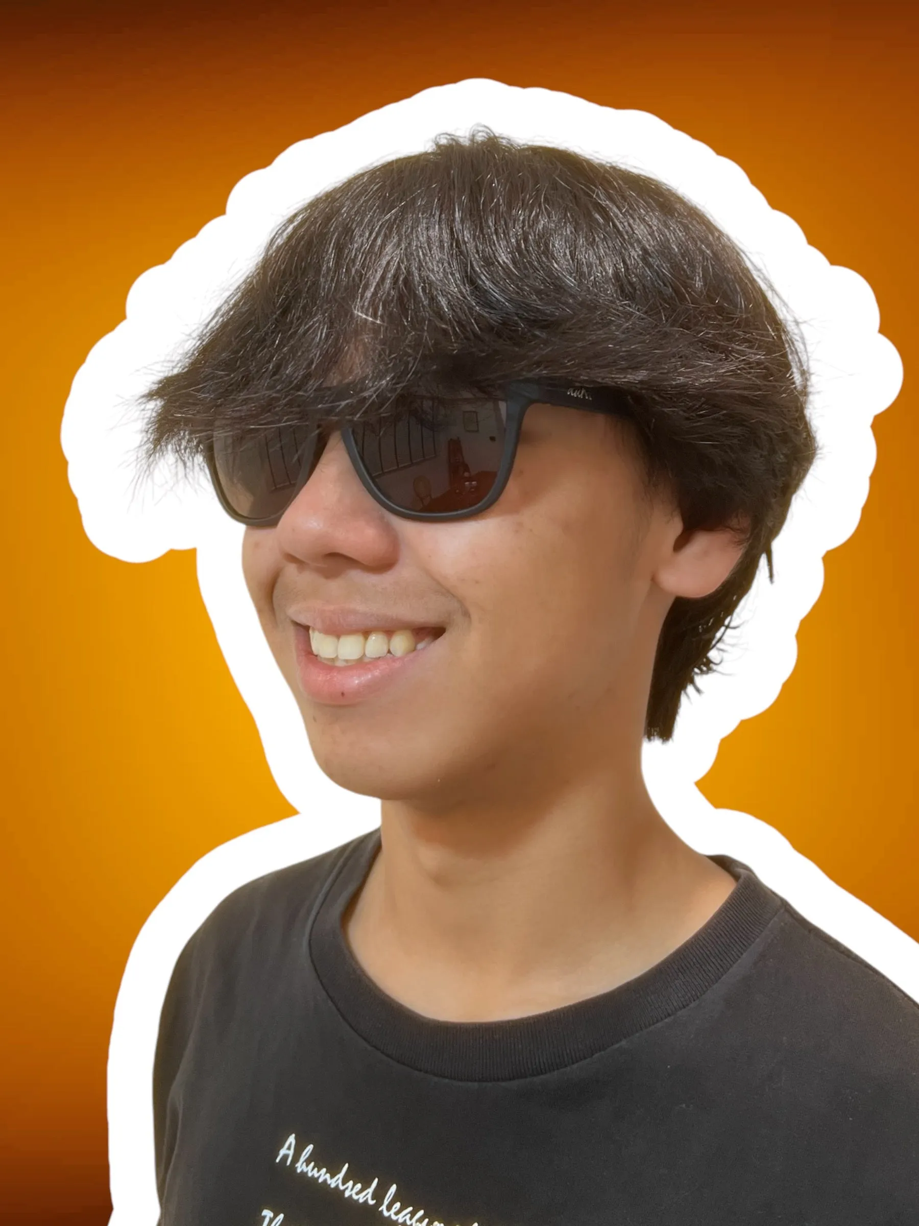 Aura Shades PLAYING IT SAFE Sunglasses