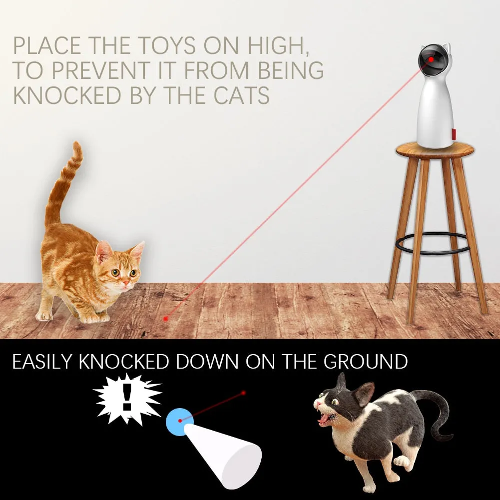 Cat Laser Pointer