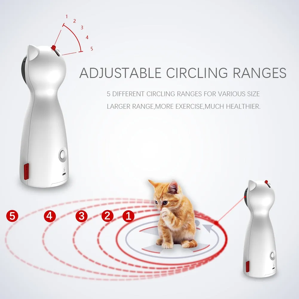 Cat Laser Pointer