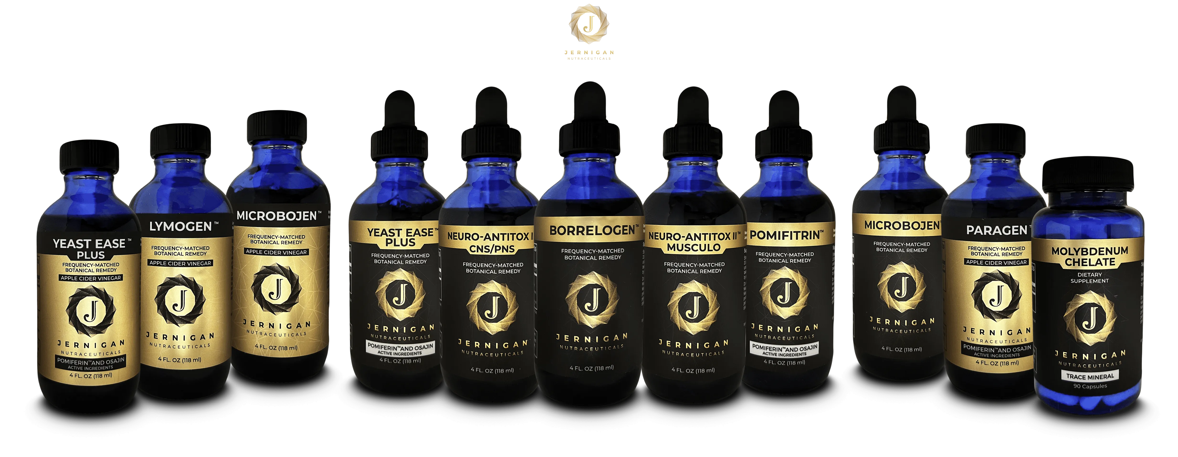 Chronic Lyme Intensive Protocol