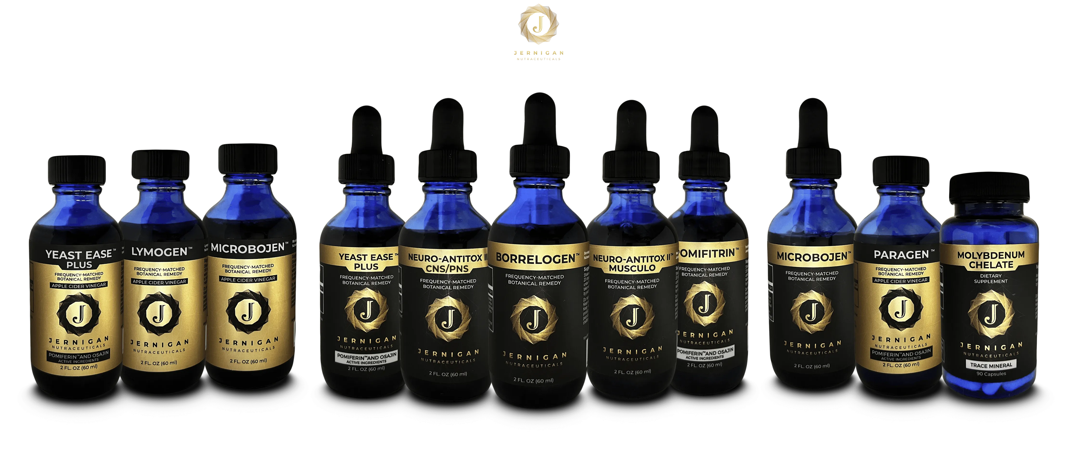 Chronic Lyme Intensive Protocol