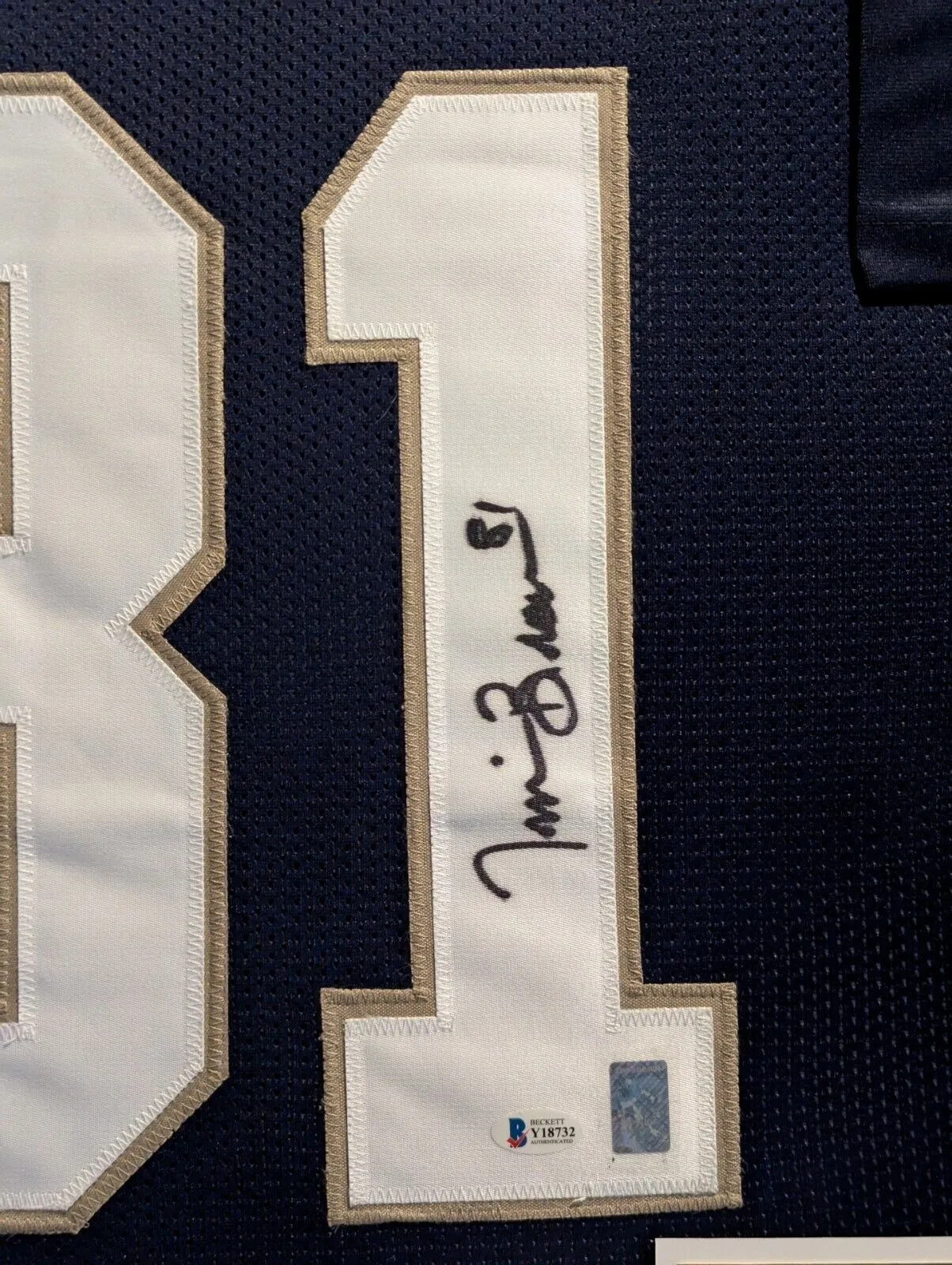 FRAMED NOTRE DAME FIGHTING IRISH TIM BROWN AUTOGRAPHED JERSEY BECKETT COA