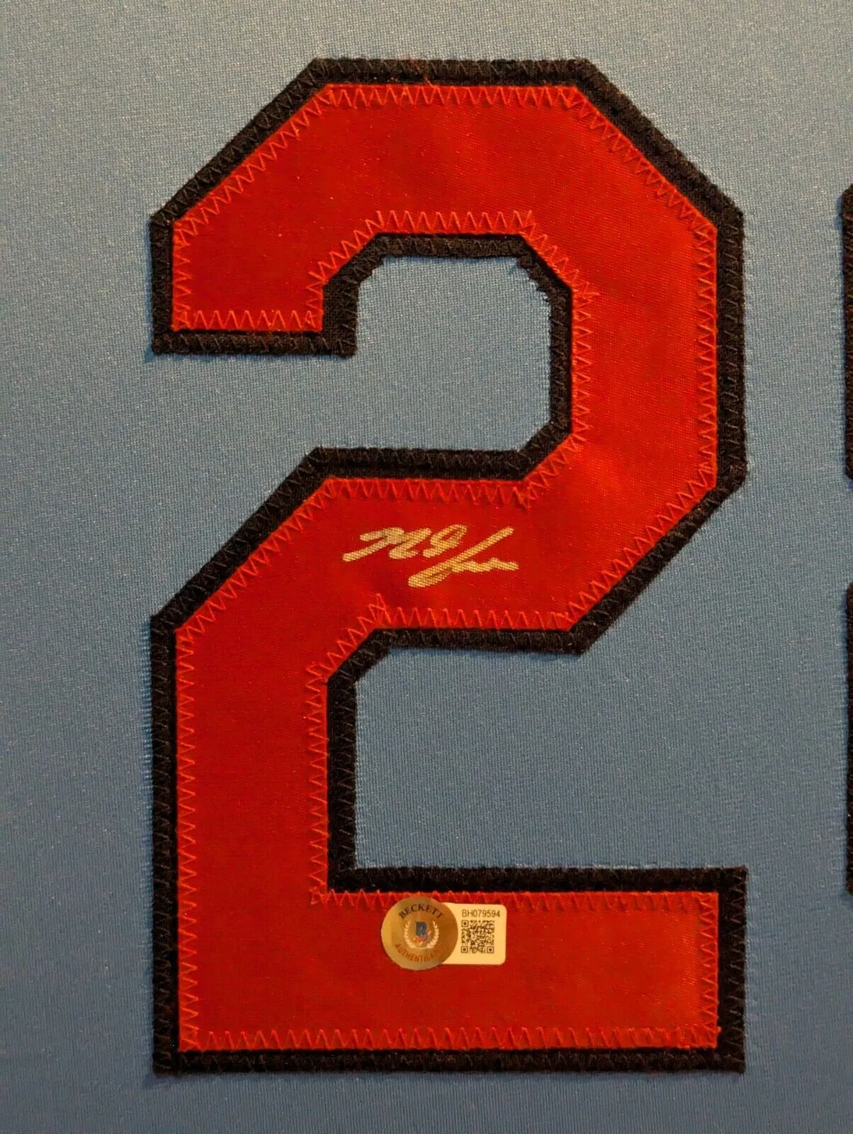 FRAMED ST LOUIS CARDINALS NOLAN ARENADO AUTOGRAPHED JERSEY BECKETT HOLO