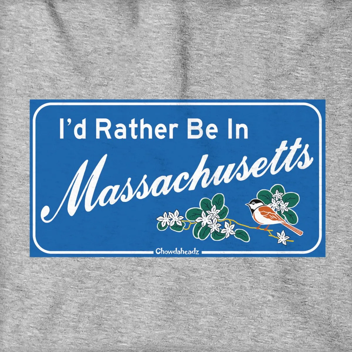 I'd Rather Be In Massachusetts Sign Hoodie