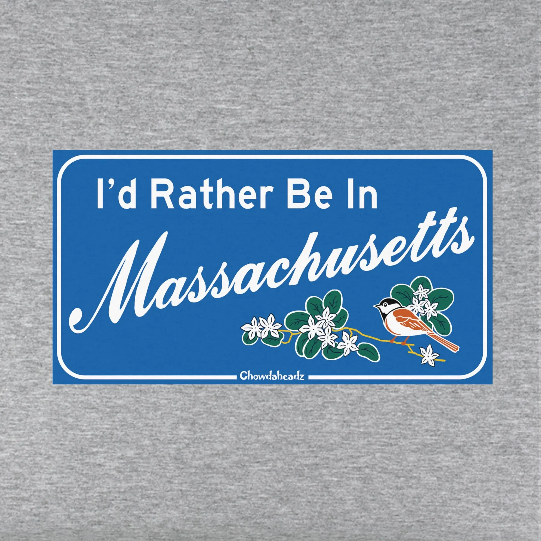 I'd Rather Be In Massachusetts Sign Youth Hoodie