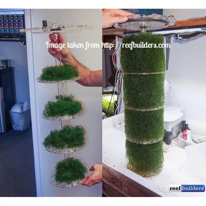 Pax Bellum ARID N24 Macro Algae Reactor - For 500-1200L Tank