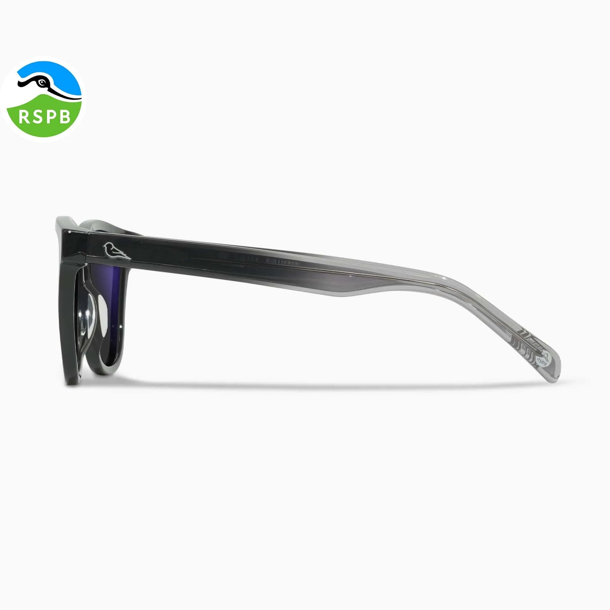 Swift Anti-Reflection Sunglasses | Bird x RSPB
