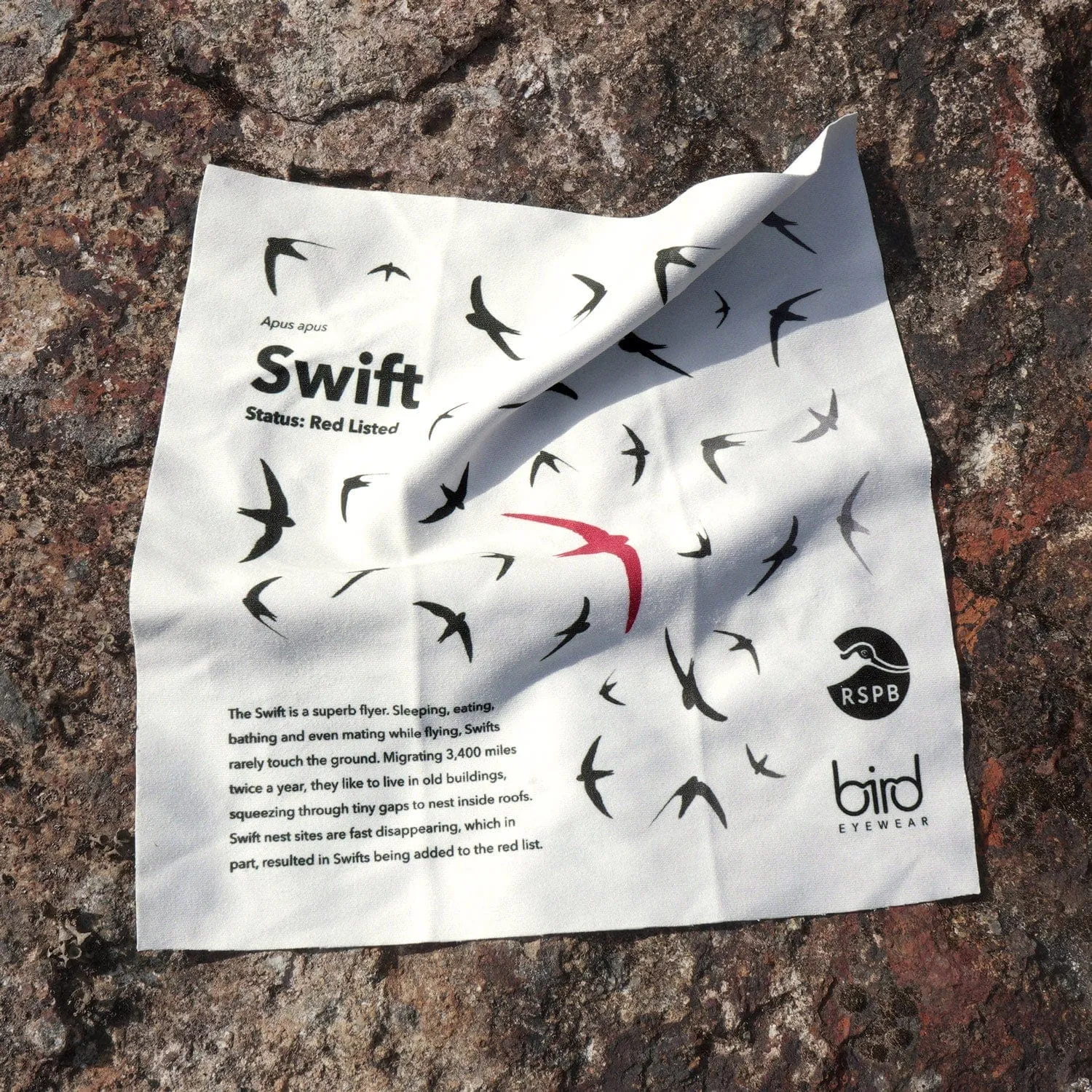 Swift Anti-Reflection Sunglasses | Bird x RSPB