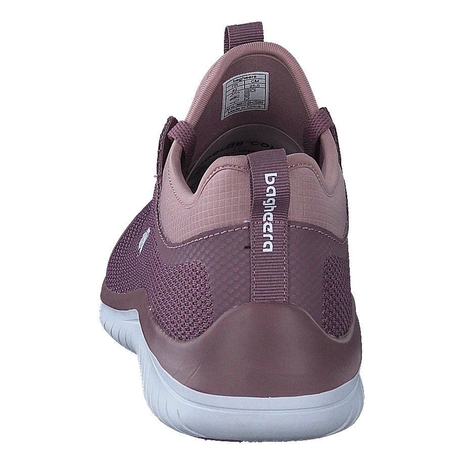 Swift Purple/lavender