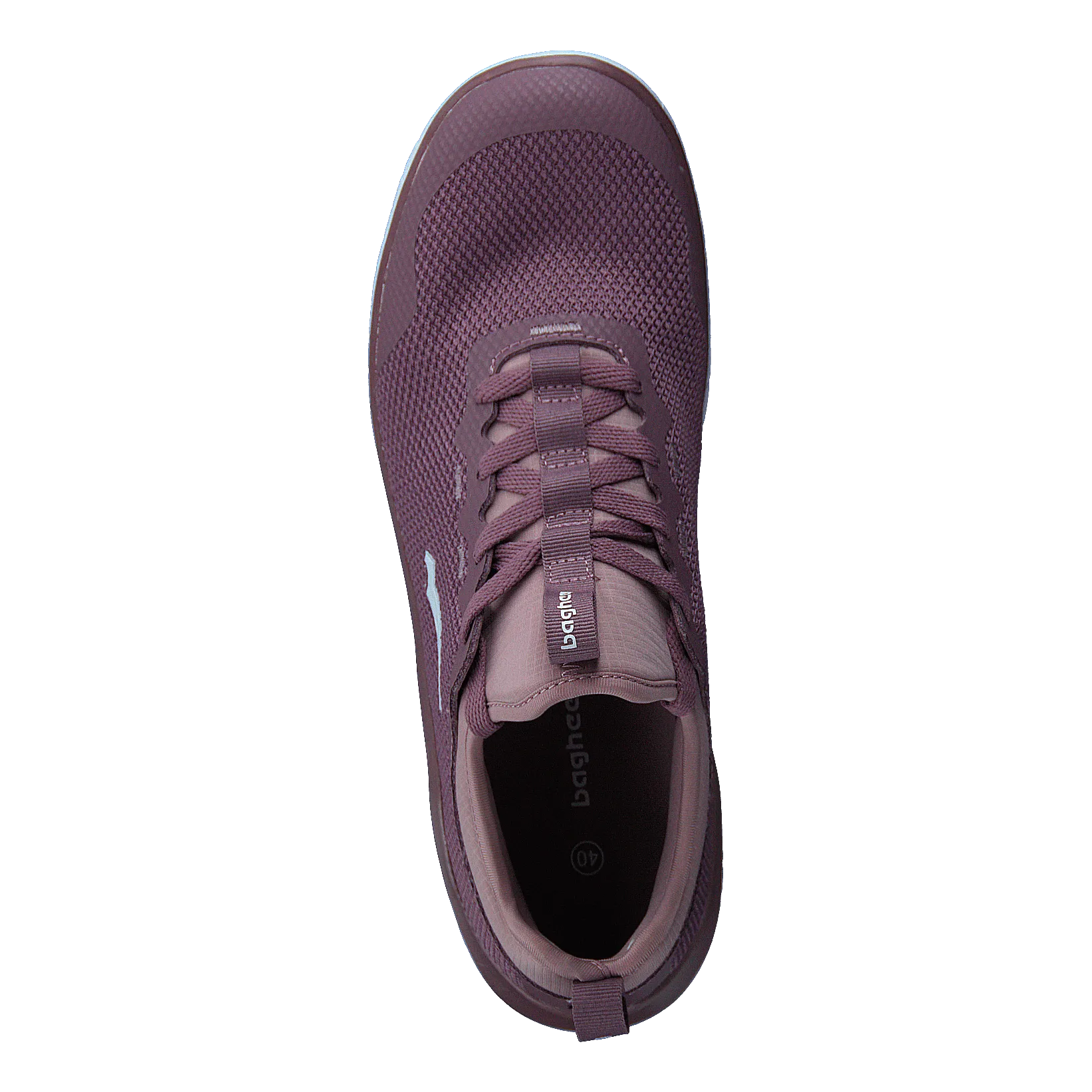 Swift Purple/lavender