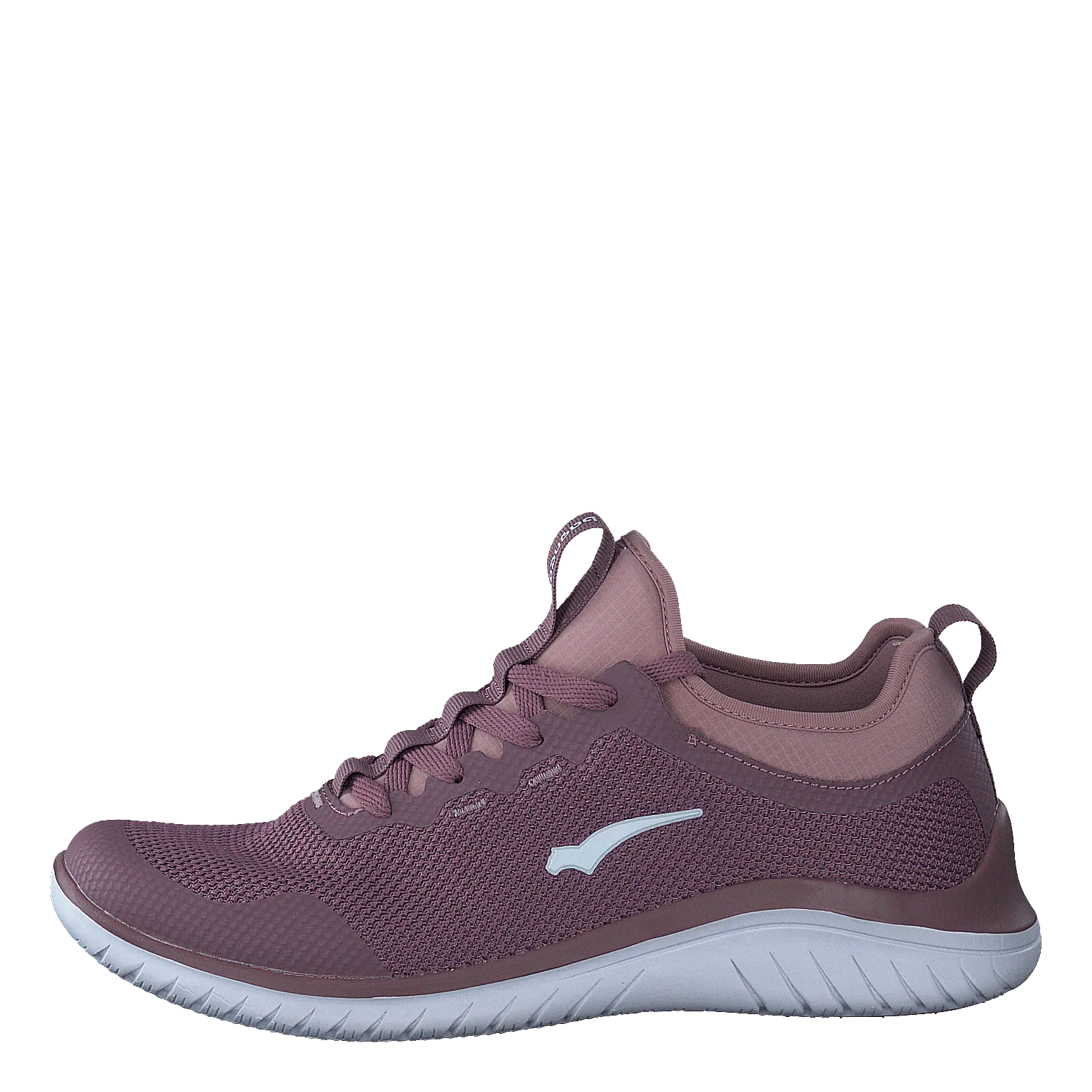 Swift Purple/lavender