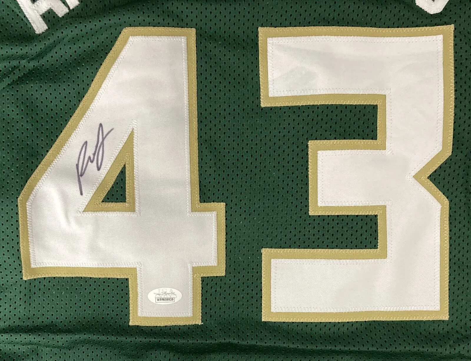 Thanasis Antetokounmpo Signed Custom Green Pro-Style Basketball Jersey JSA ITP