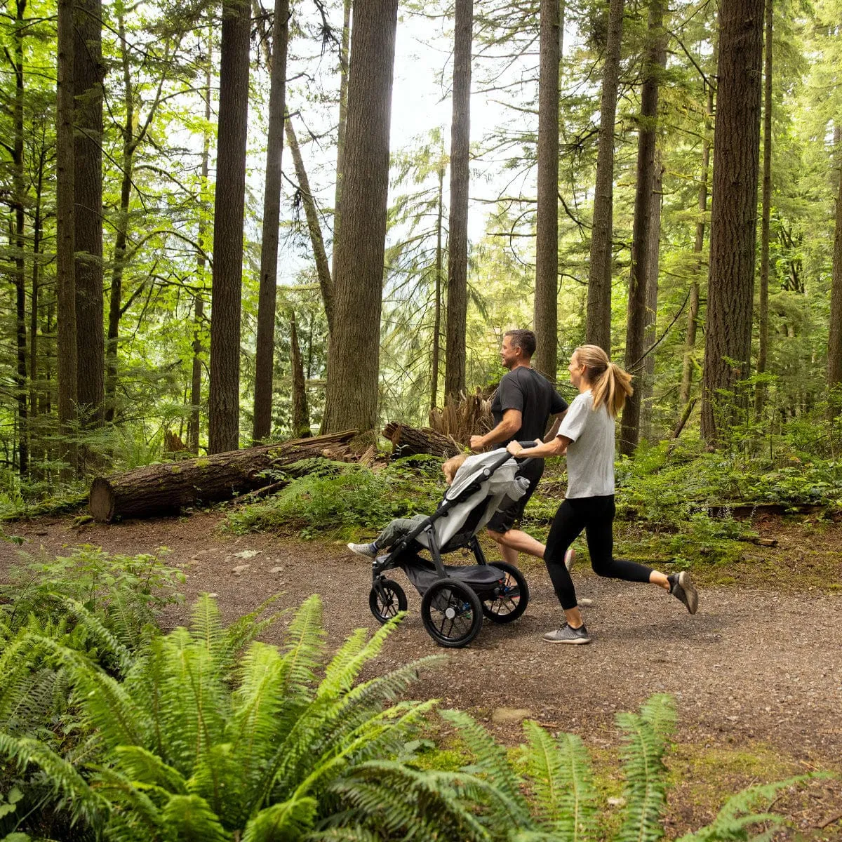 UPPAbaby Ridge All-Terrain Stroller - Jake (Charcoal/Carbon)