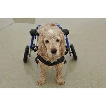 Walkin Wheels® MEDIUM Rear Dog Wheelchair