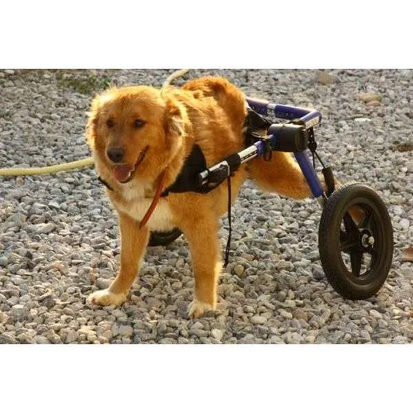 Walkin Wheels® MEDIUM Rear Dog Wheelchair