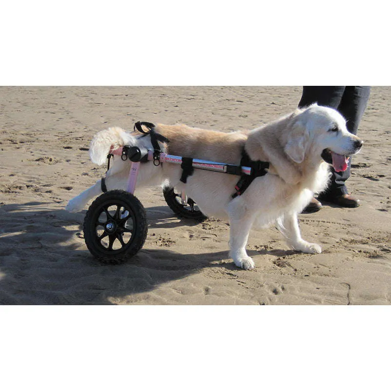 Walkin Wheels® MEDIUM Rear Dog Wheelchair