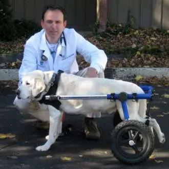 Walkin Wheels® MEDIUM Rear Dog Wheelchair