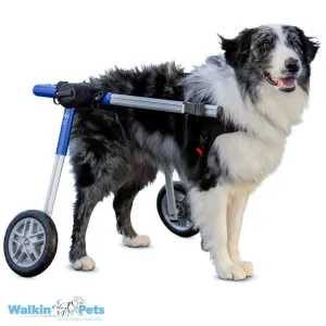 Walkin Wheels® MEDIUM Rear Dog Wheelchair