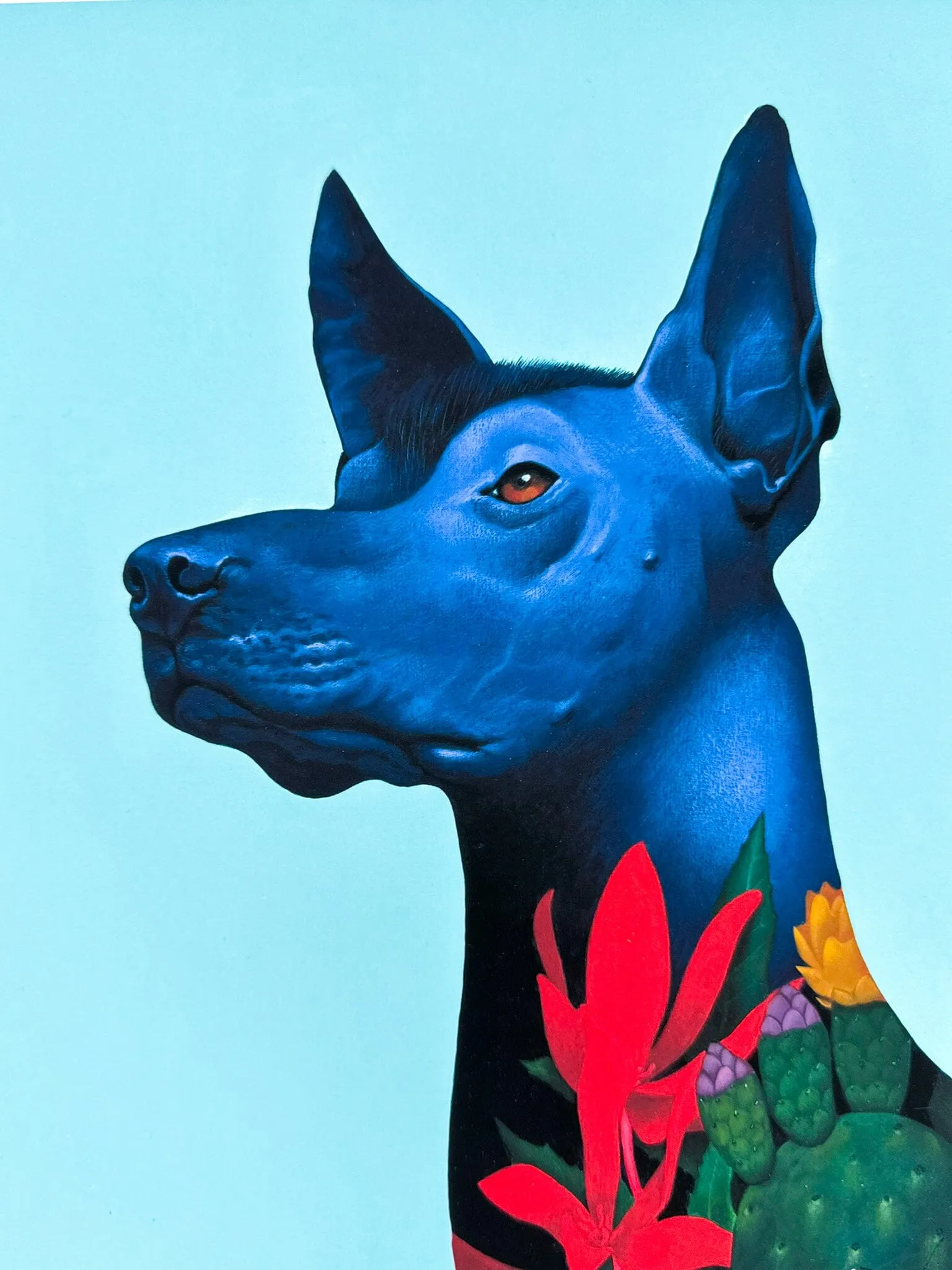 Xolo Viajero