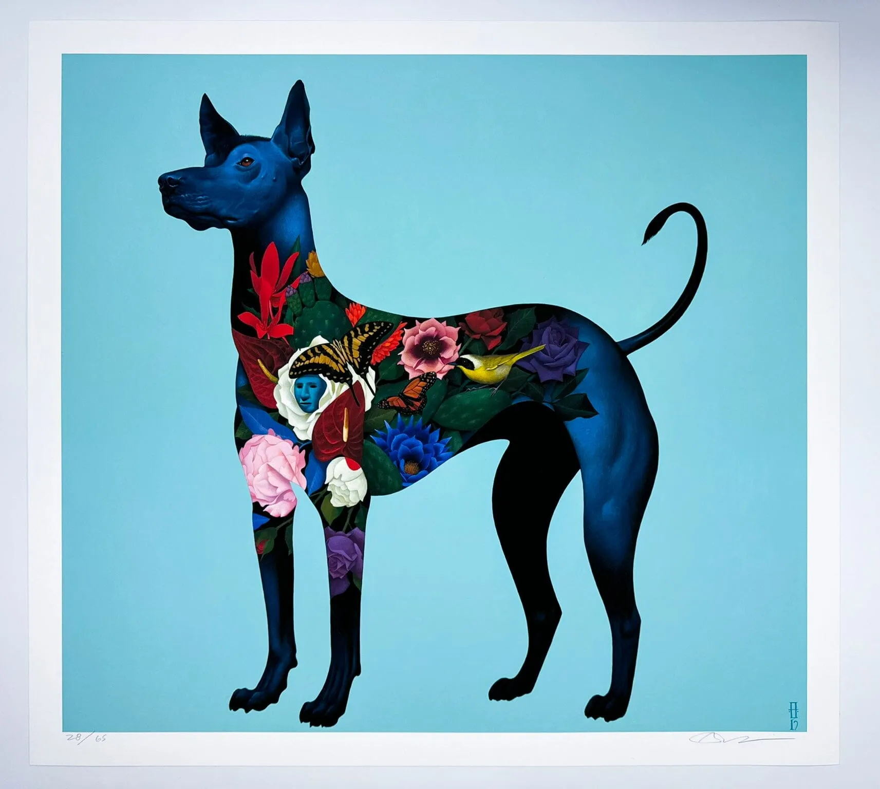 Xolo Viajero