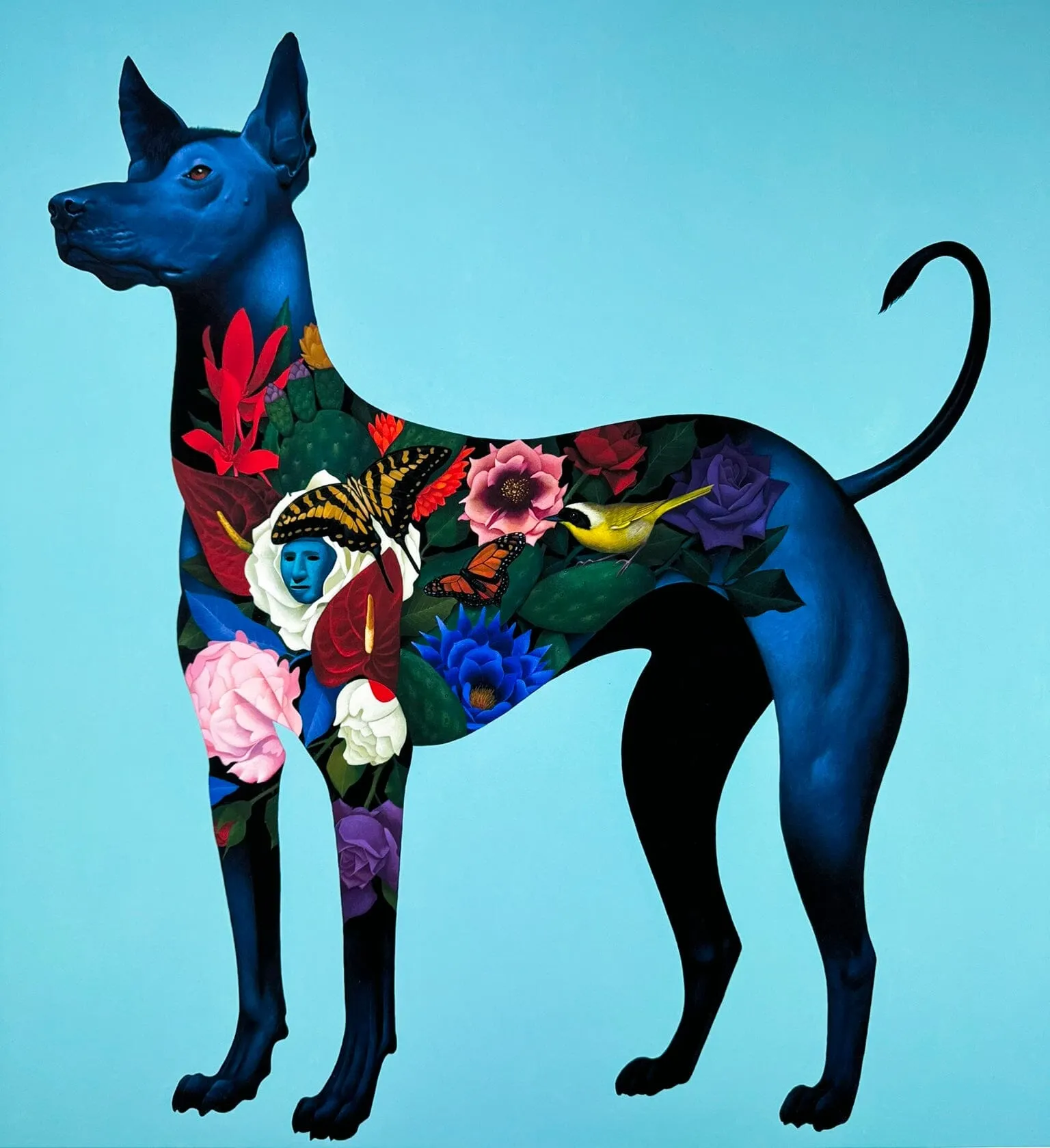 Xolo Viajero